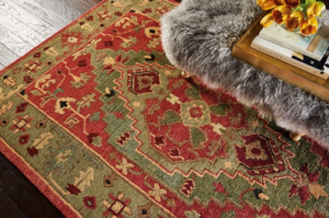 Red and Green Rug for Conversation Space
