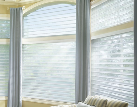 Hunter Douglas Window Blinds