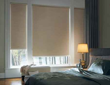 Hunter Douglas Bedroom Windows