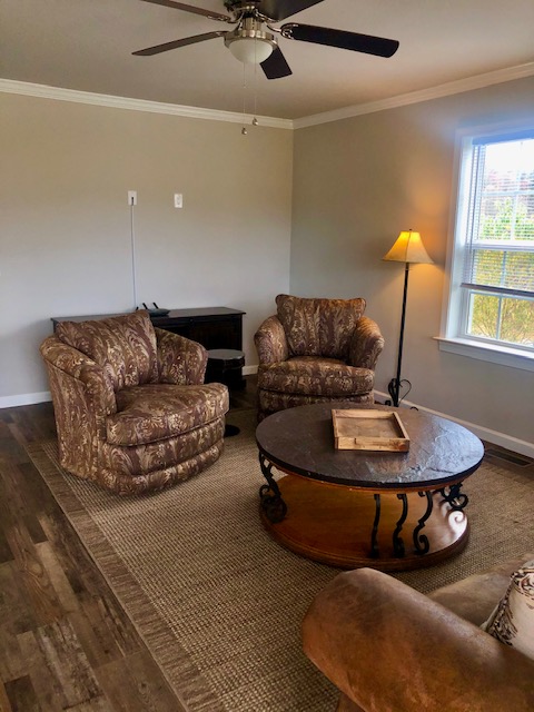 Living Room Furnishings 